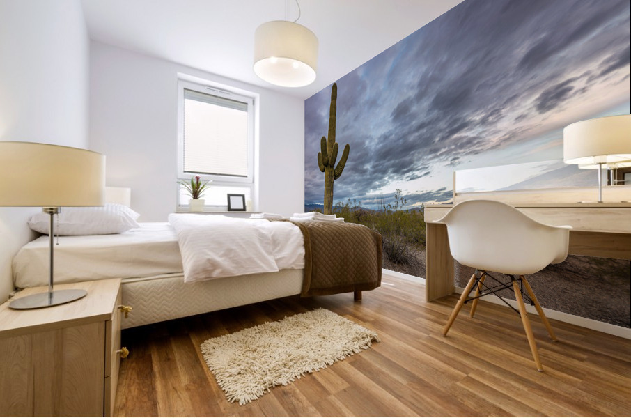 Sunset in Saguaro National Park Tucson Impression murale