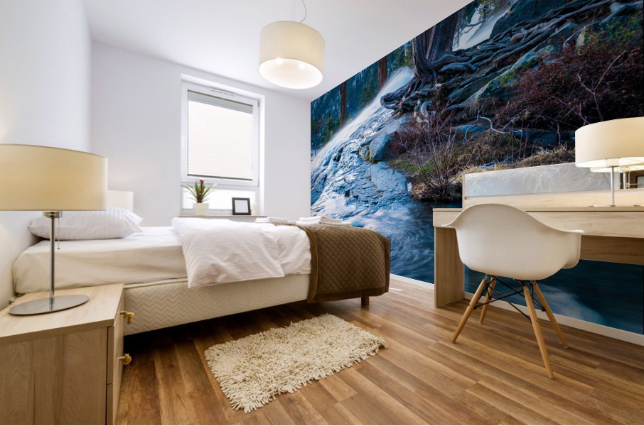 Detail of Lower Eagle Falls Lake Tahoe Mural print