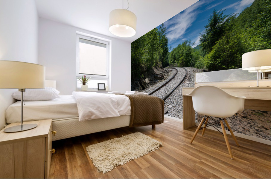 Old railway track at High Falls of Cheat Mural print