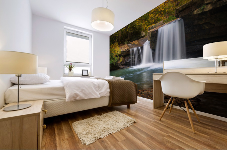 Waterfall on Deckers Creek near Masontown Impression murale