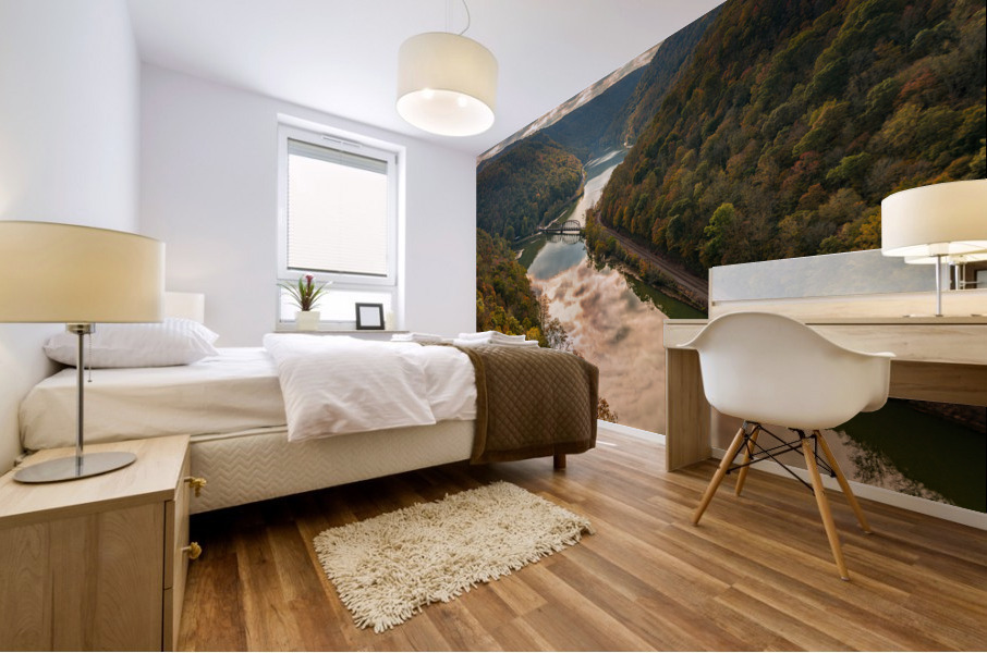 New River from Hawks Nest Overlook Mural print