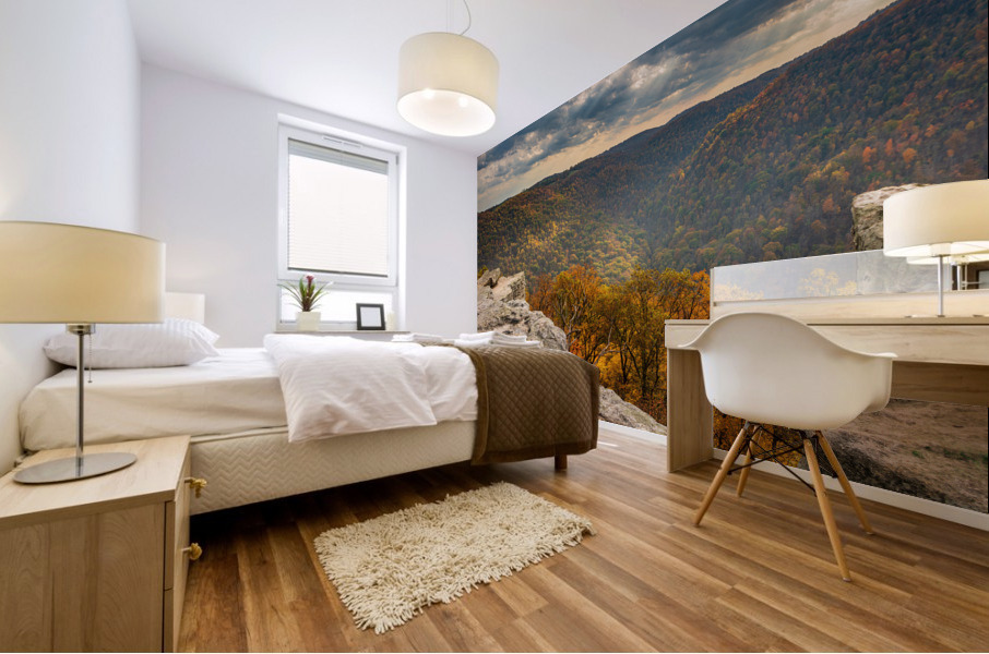 Raven Rock overlooks forest at Coopers Rock Mural print