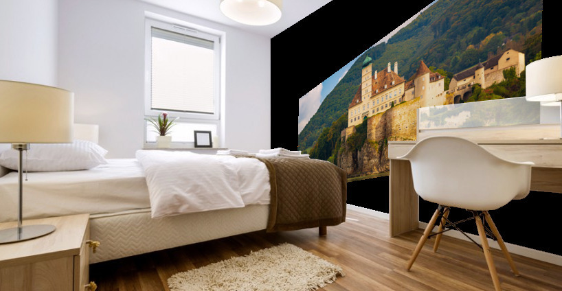 Schloss Schoenbuehel on Danube riverbank Mural print