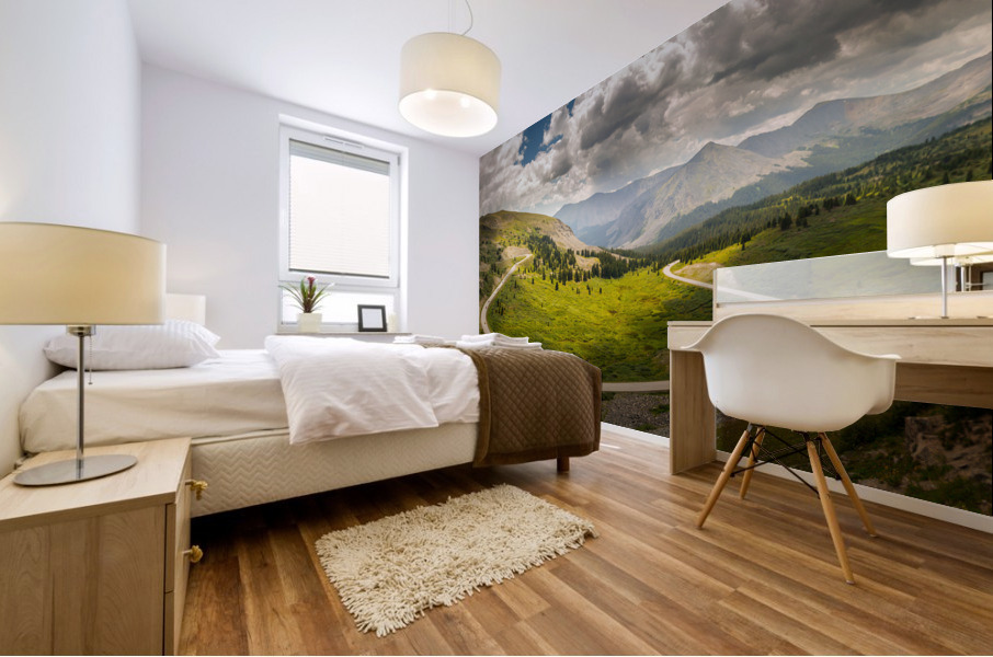 Large horseshoe bend on Cottonwood pass Mural print