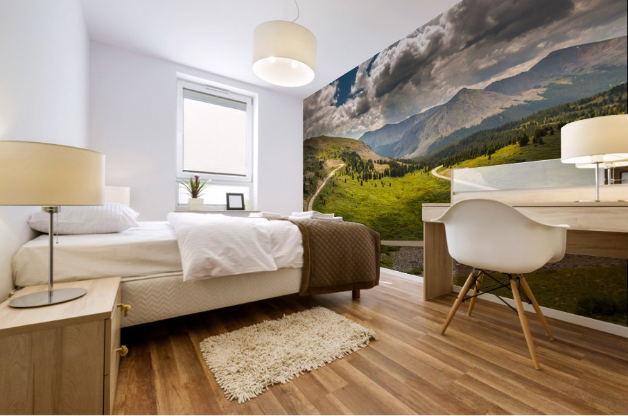 Large horseshoe bend on Cottonwood pass Mural print