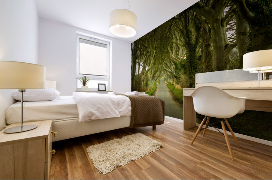 Dark Hedges road through old trees Impression murale