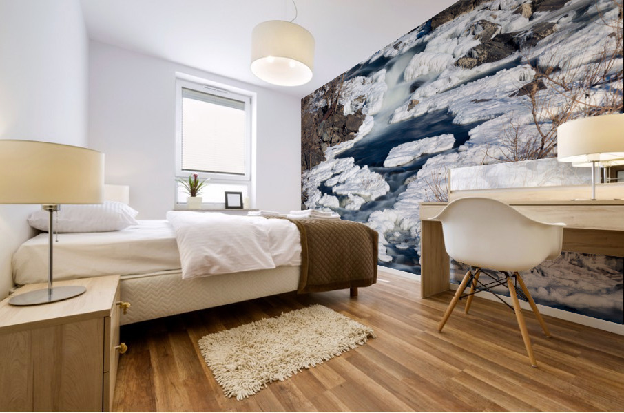 Great Falls on Potomac outside Washington DC Mural print