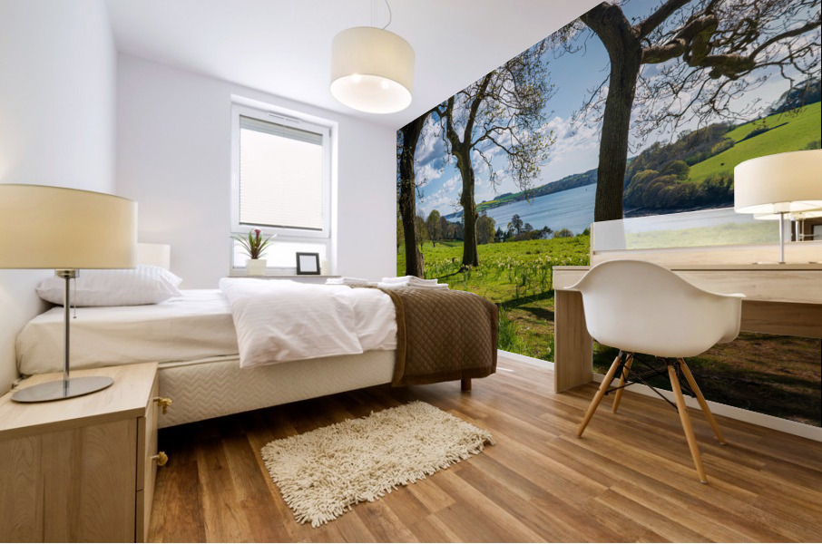 View across daffodils to River Fal near Truro Mural print