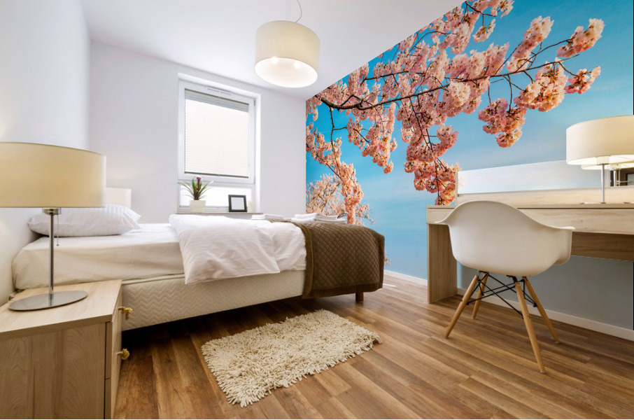 Detail macro photo of japanese cherry blossom flowers Mural print