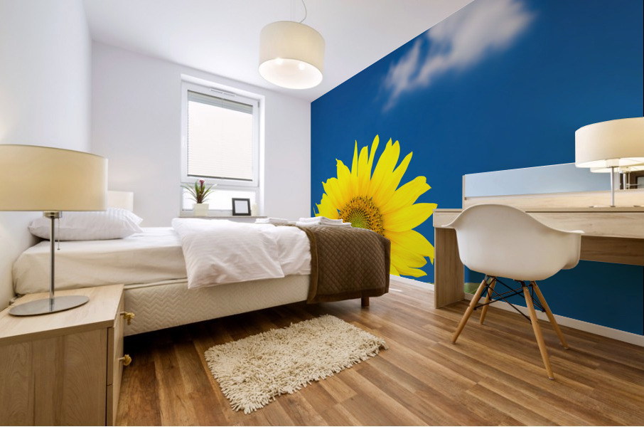 Single sunflower blossom against blue sky Mural print