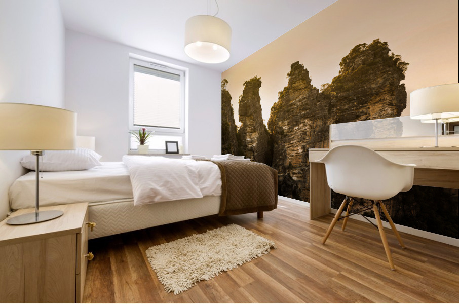 Sunrise from Echo Point in Blue Mountains Australia Mural print