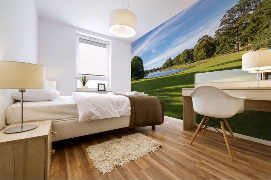 English lawn running down to lake Impression murale