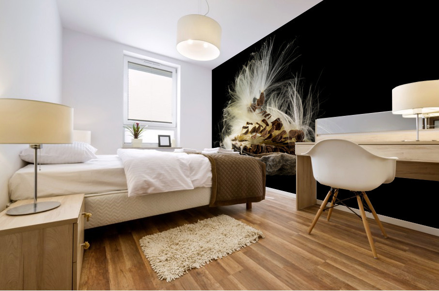 Macro photo of swamp milkweed seed pod Mural print