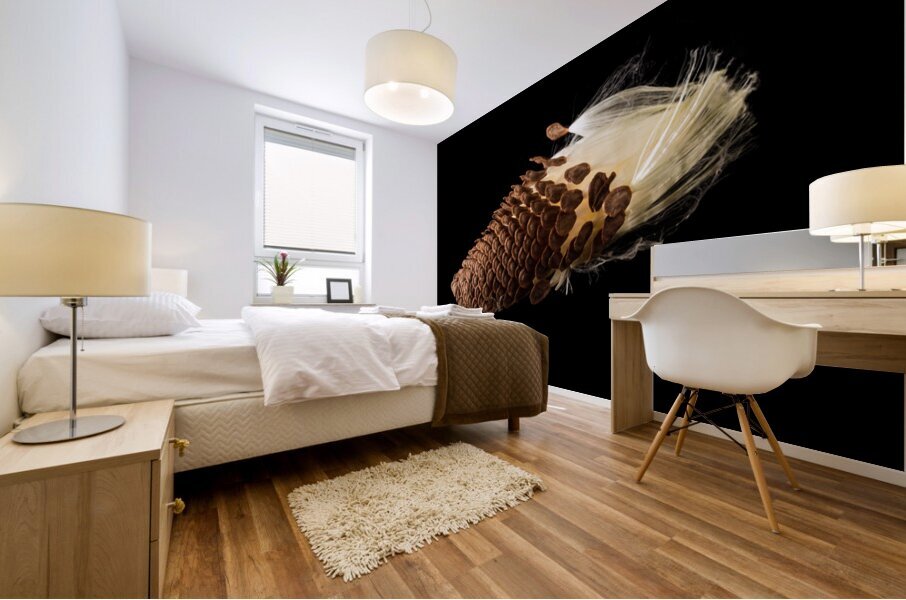 Macro photo of swamp milkweed seed pod Mural print