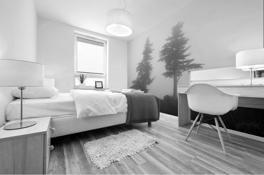 Mist and fog envelop two pine trees Impression murale