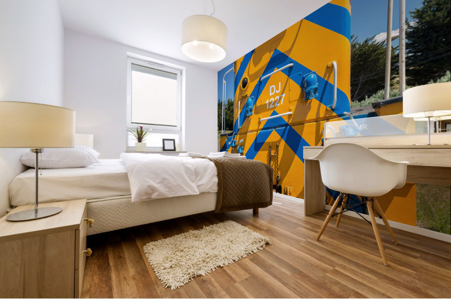 Diesel locomotive train engine Taiere Gorge line Mural print