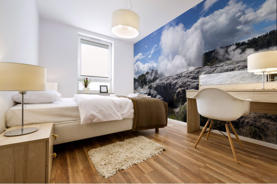 Whakarewarewa thermal geyser area Mural print