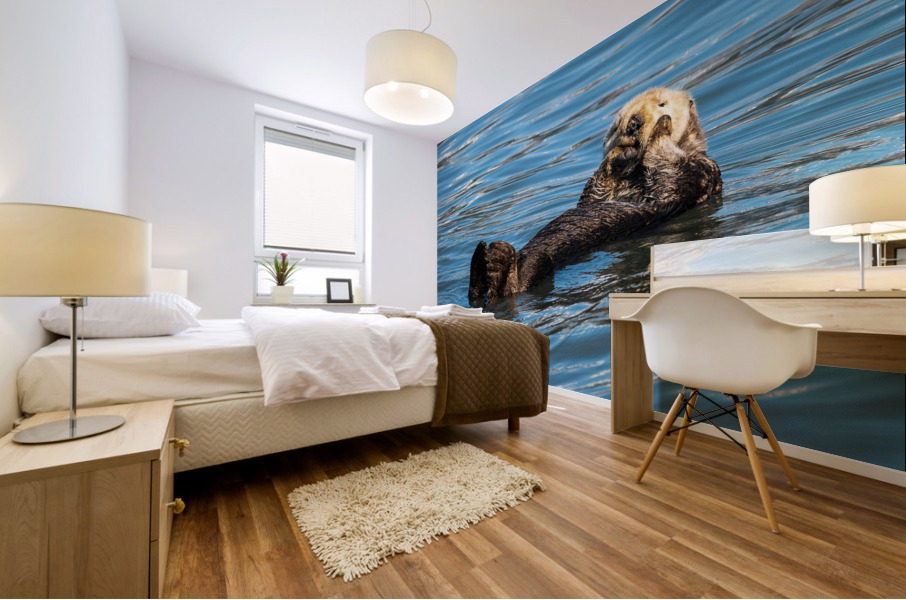 Sea Otter floating in Resurrection Bay near Seward Mural print