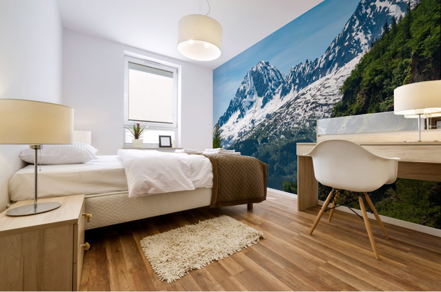 Majestic mountains from Keystone Canyon rise over trees Impression murale