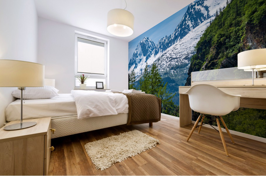 Majestic mountains from Keystone Canyon rise over trees Mural print