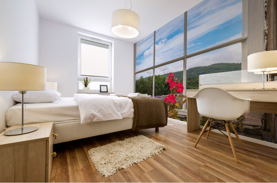 Lavender plants in blossom in early July through window Impression murale