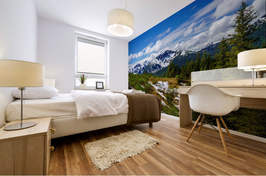 View from Mount Roberts toward Mt Bradley above Juneau Alaska Mural print