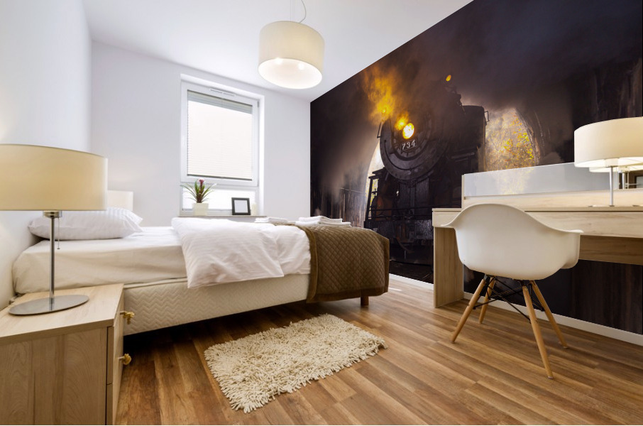 Dramatic 1916 Baldwin Steam locomotive enters tunnel Mural print