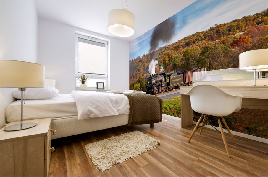 WMRR Steam train powers along railway Mural print