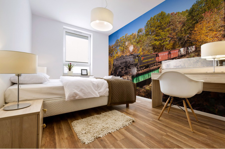 WMRR Steam train powers along railway Mural print