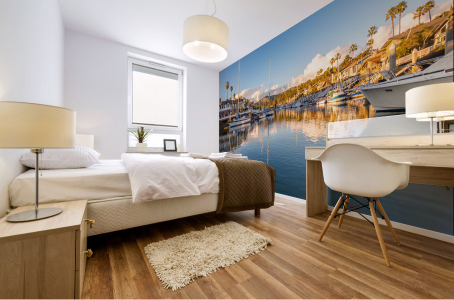 Expensive homes and boats ventura Mural print