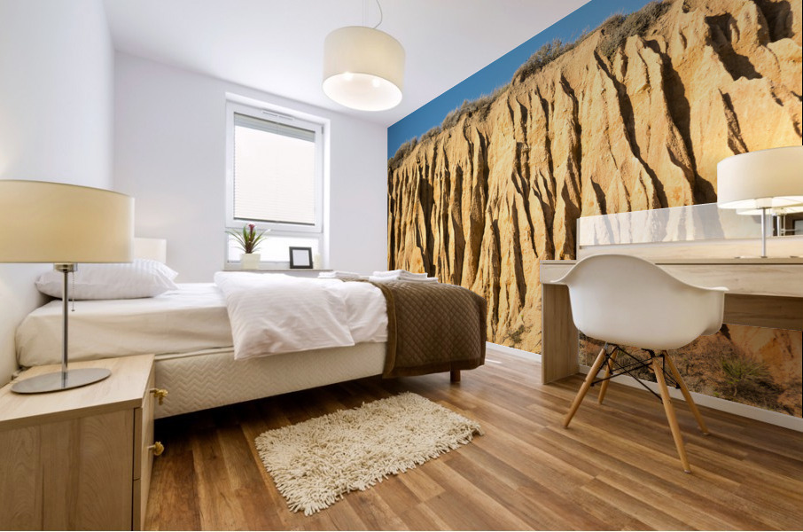 El Matador State Beach California Mural print