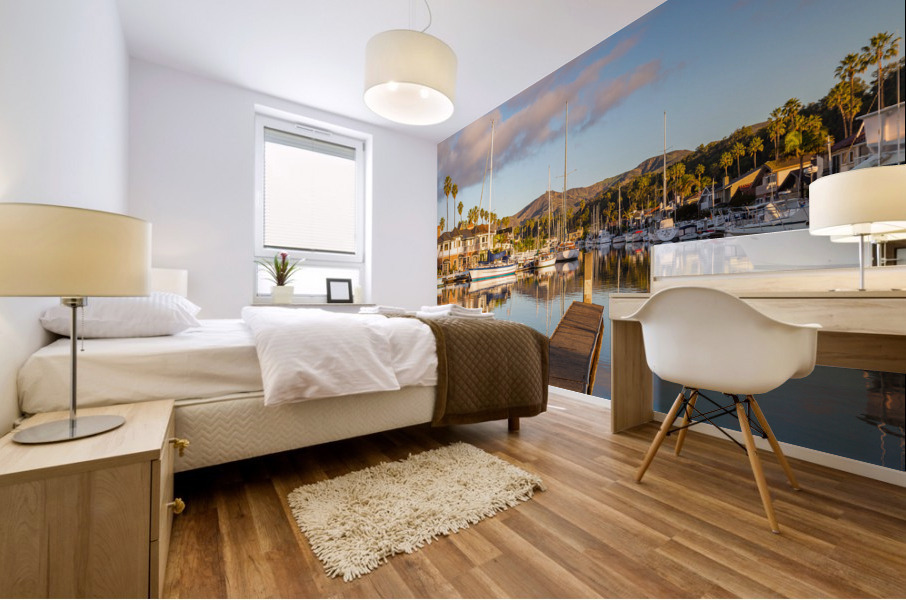 Expensive homes and boats ventura Mural print