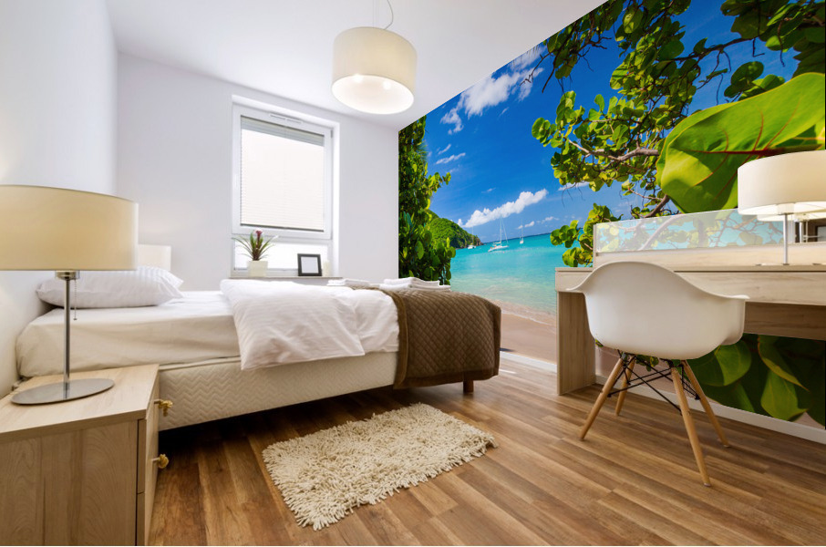 Glorious beach at Anse Marcel on St Martin Impression murale