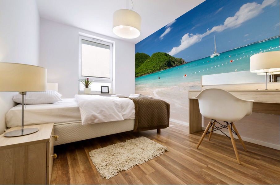 Glorious beach at Anse Marcel on St Martin Mural print