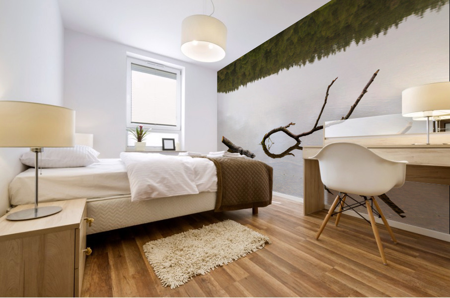 Reflection of branch in Coniston Water  Mural print