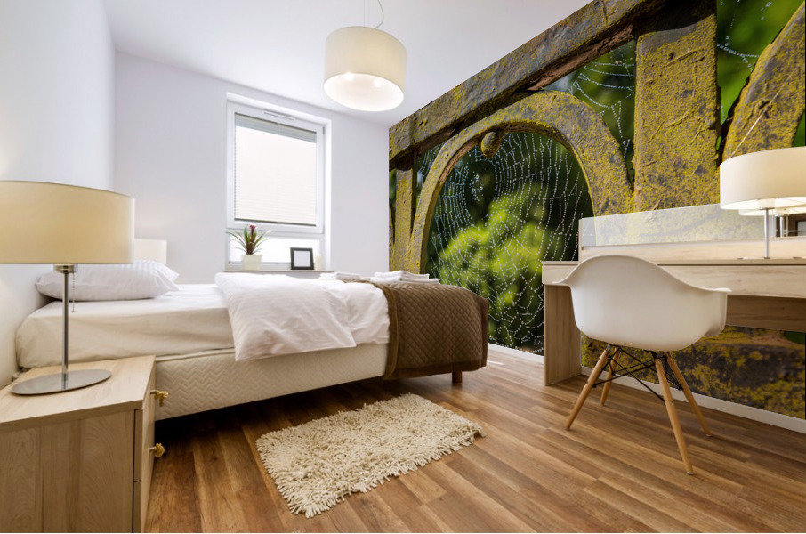 Dew glistening cobweb on gate Impression murale