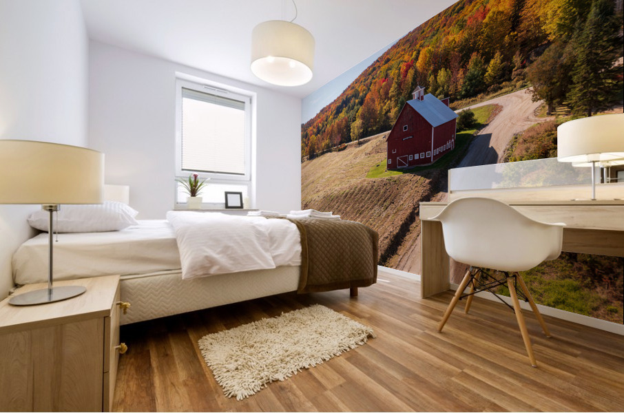 Grandview Farm barn with fall colors in Vermont Mural print