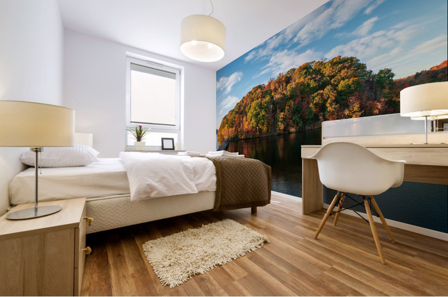 Aerial view with reflection of fall leaves in Cheat Lake Park Mural print