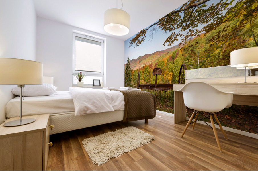 Horse drawn rake by fall colors in Vermont Mural print