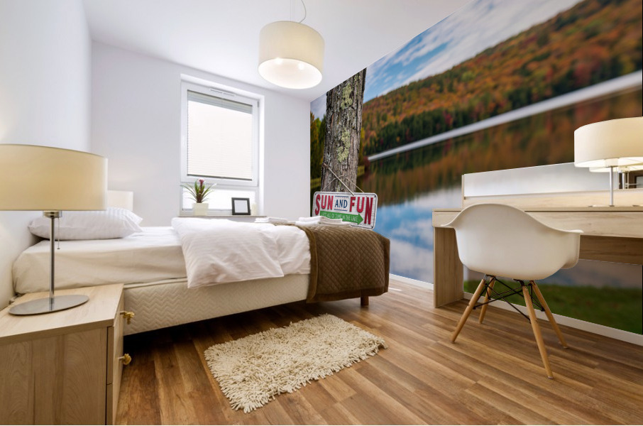 Sun and Fun swimming sign by Silver Lake Vermont Mural print