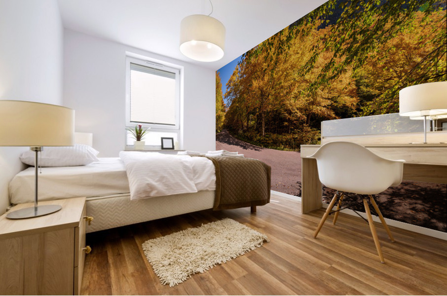 Narrow hairpin bend in Smugglers Notch in Vermont Mural print