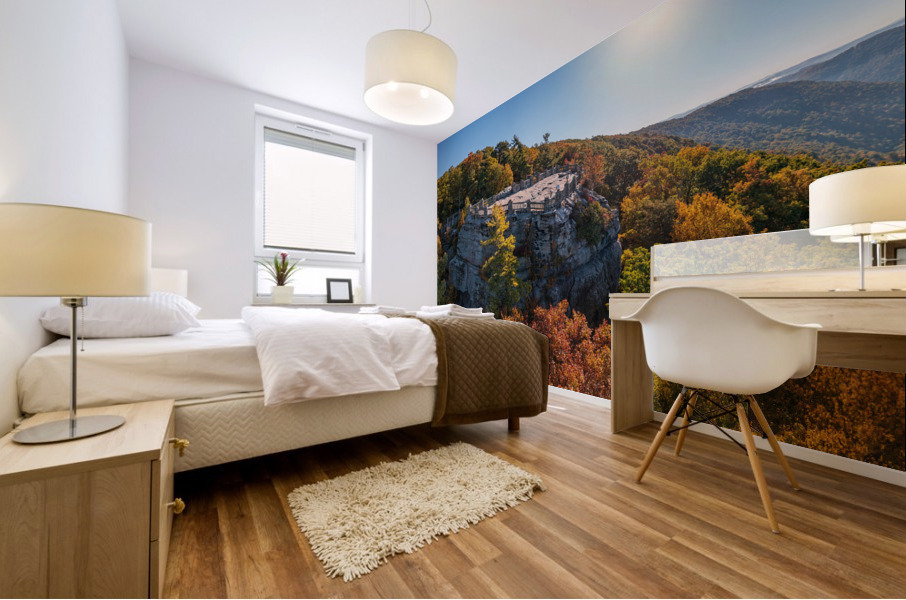 Coopers Rock panorama in West Virginia with fall colors Mural print