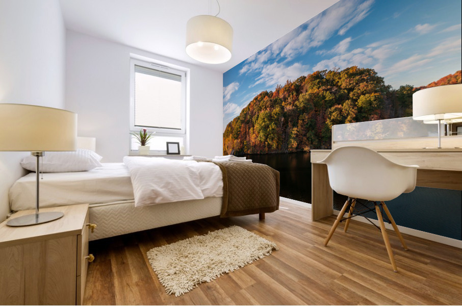 Perfect reflection of fall leaves in Cheat Lake Mural print