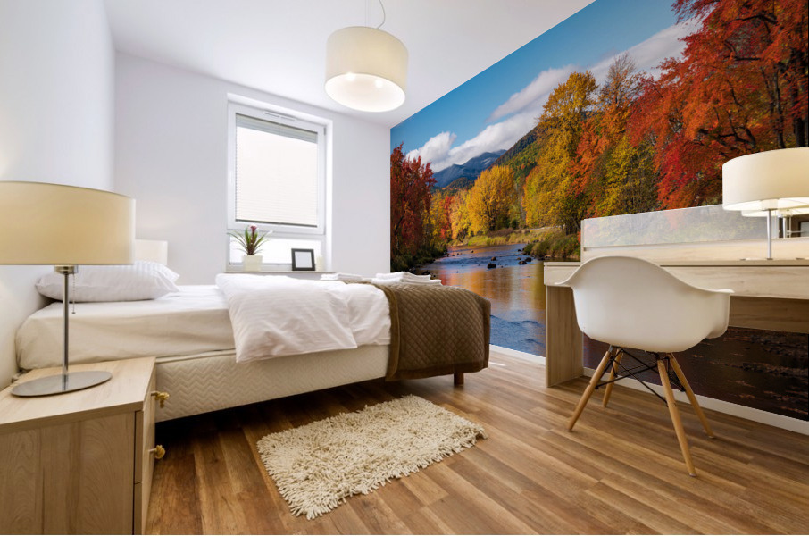 Saranac river flows through multi-colored fall landscape in Adir Mural print