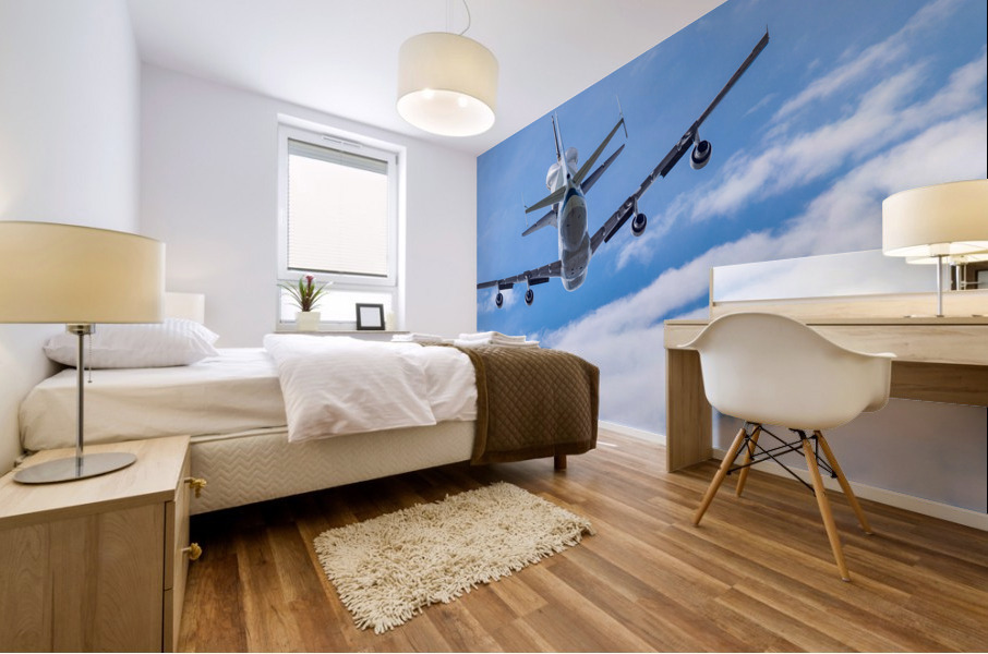 Space Shuttle Discovery flies over Washington DC Mural print