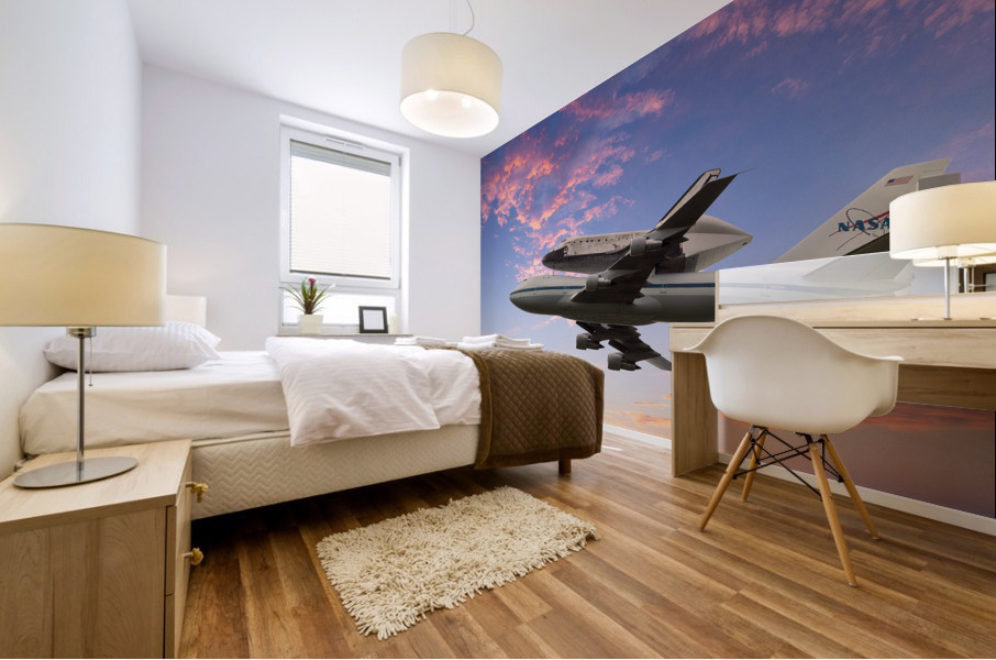 Space Shuttle Discovery flies into retirement Mural print