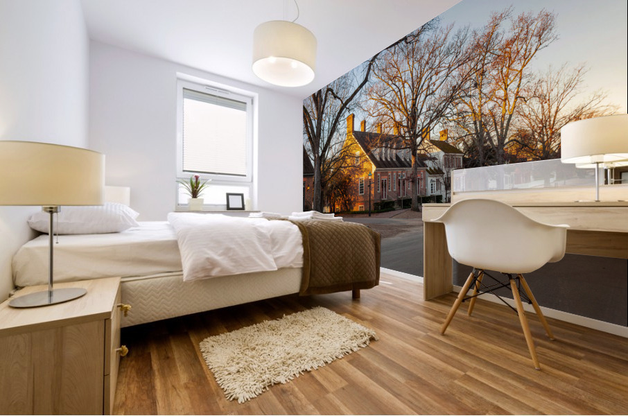 Old houses in Colonial Williamsburg Impression murale