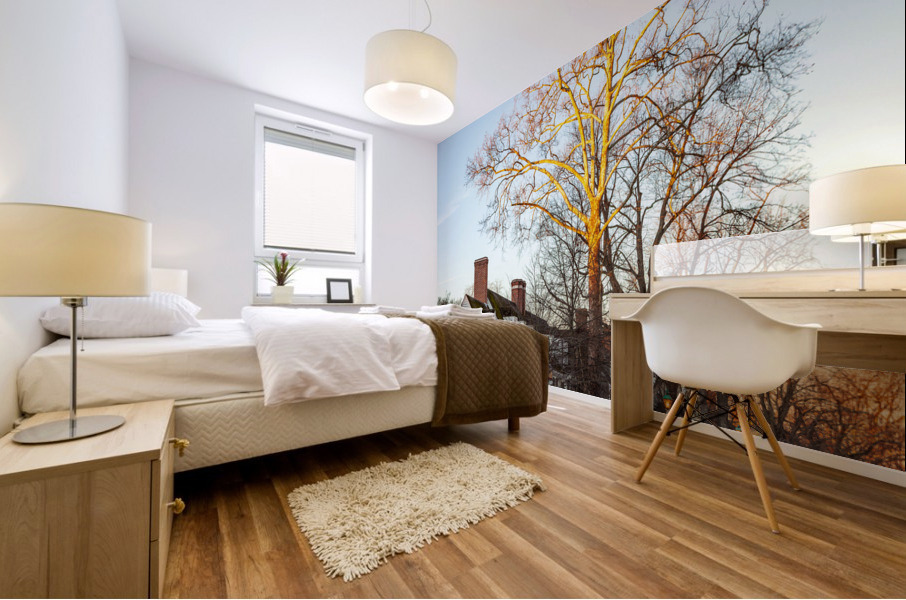 Old houses in Colonial Williamsburg Mural print