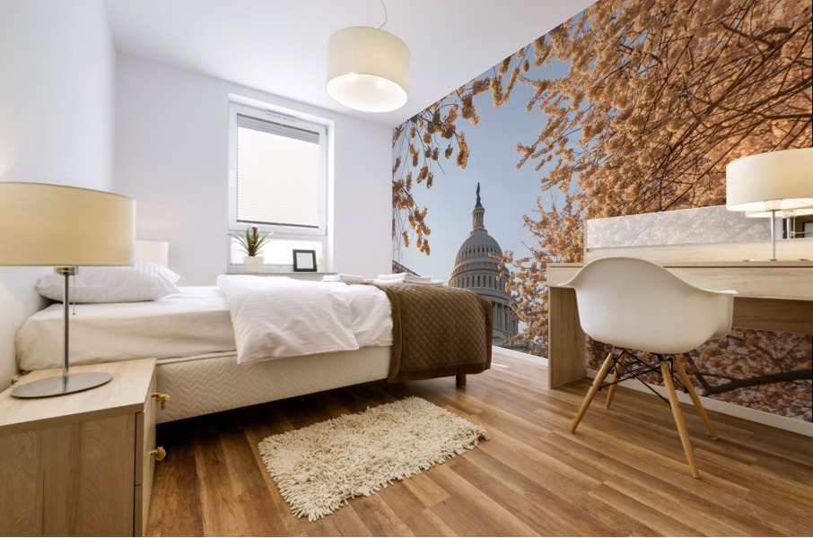 Cherry blossoms framing the Capitol Mural print