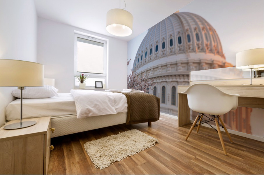 Cherry blossoms by the Capitol dome at dawn Mural print